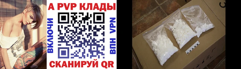 A PVP СК  Терек 