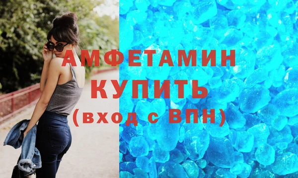 шишки Медвежьегорск