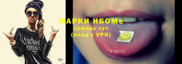 шишки Медвежьегорск
