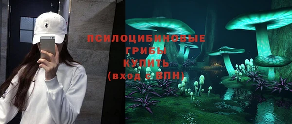 шишки Медвежьегорск