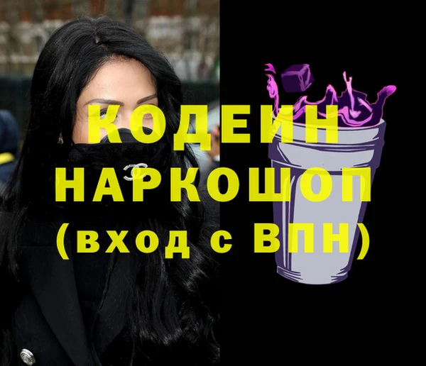 шишки Медвежьегорск